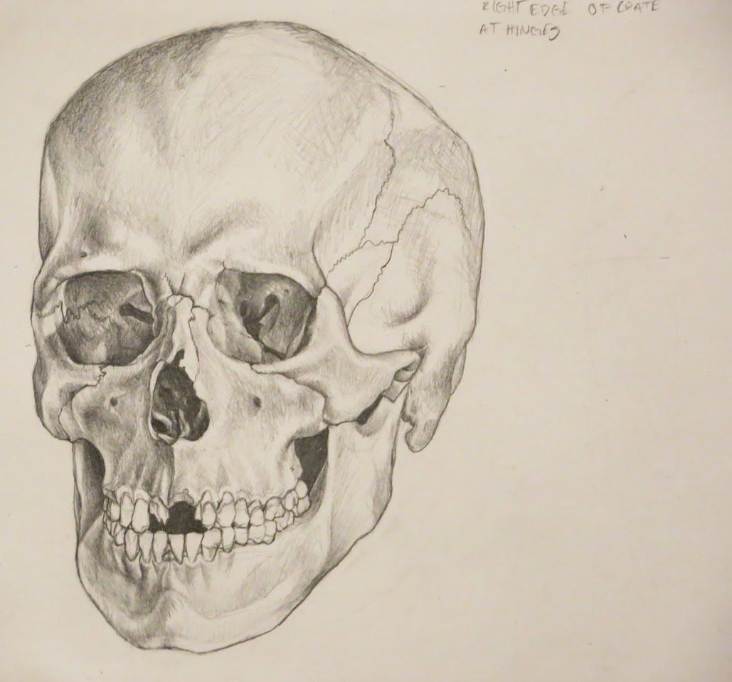 Nancyskull-1
