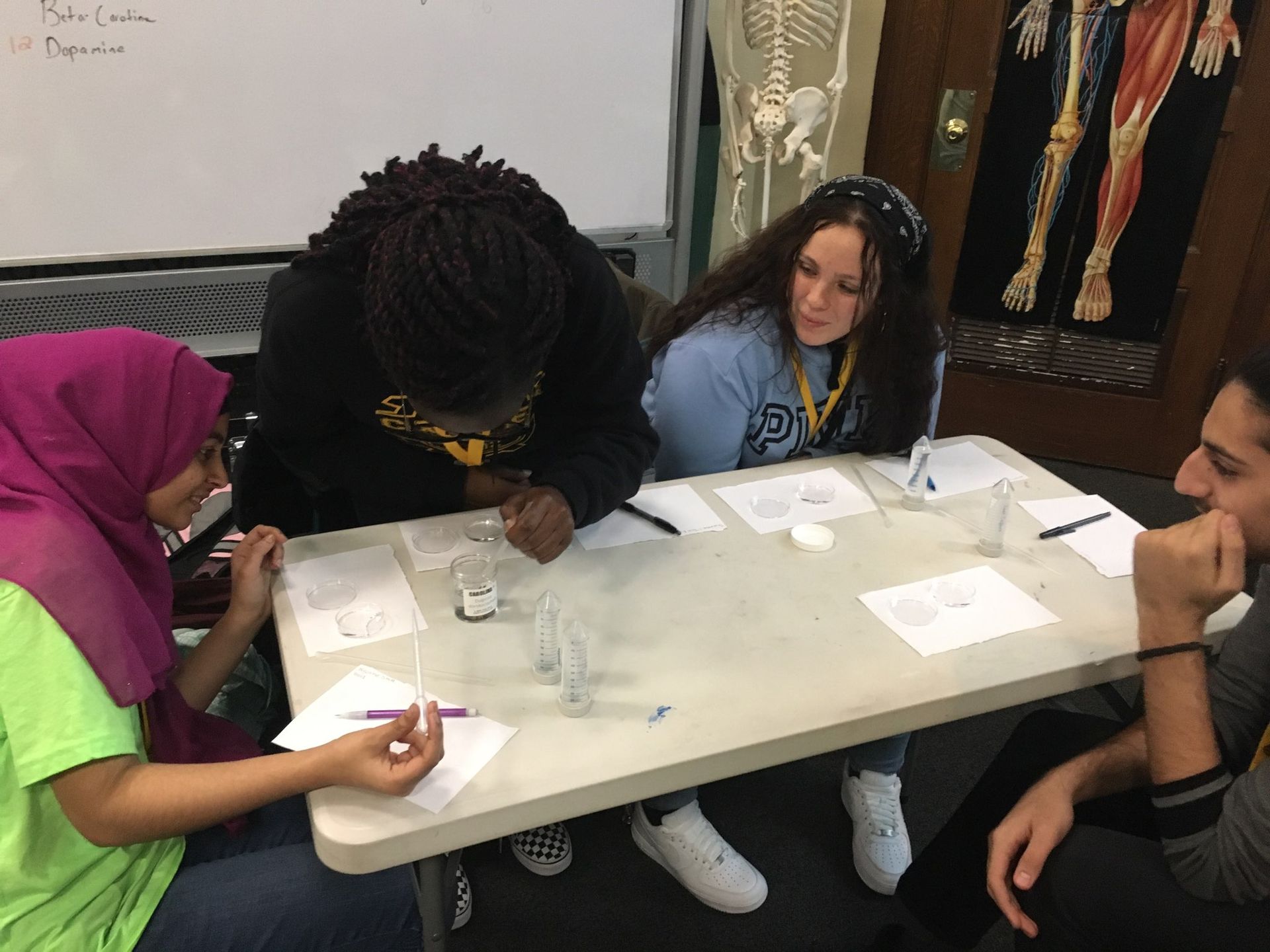 Students in the Karabots Junior Fellows program examine planarians in petri dishes. 