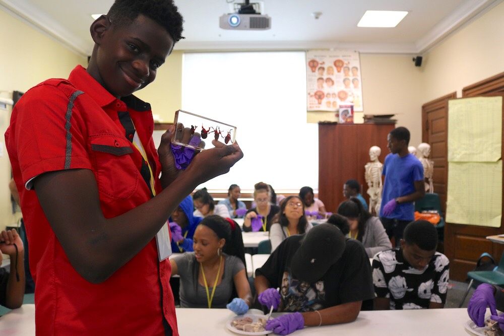 Wayne Cooper, one of the Karabots Junior Fellows poses with a sample of various vertebrate hearts during a sheep heart dissection