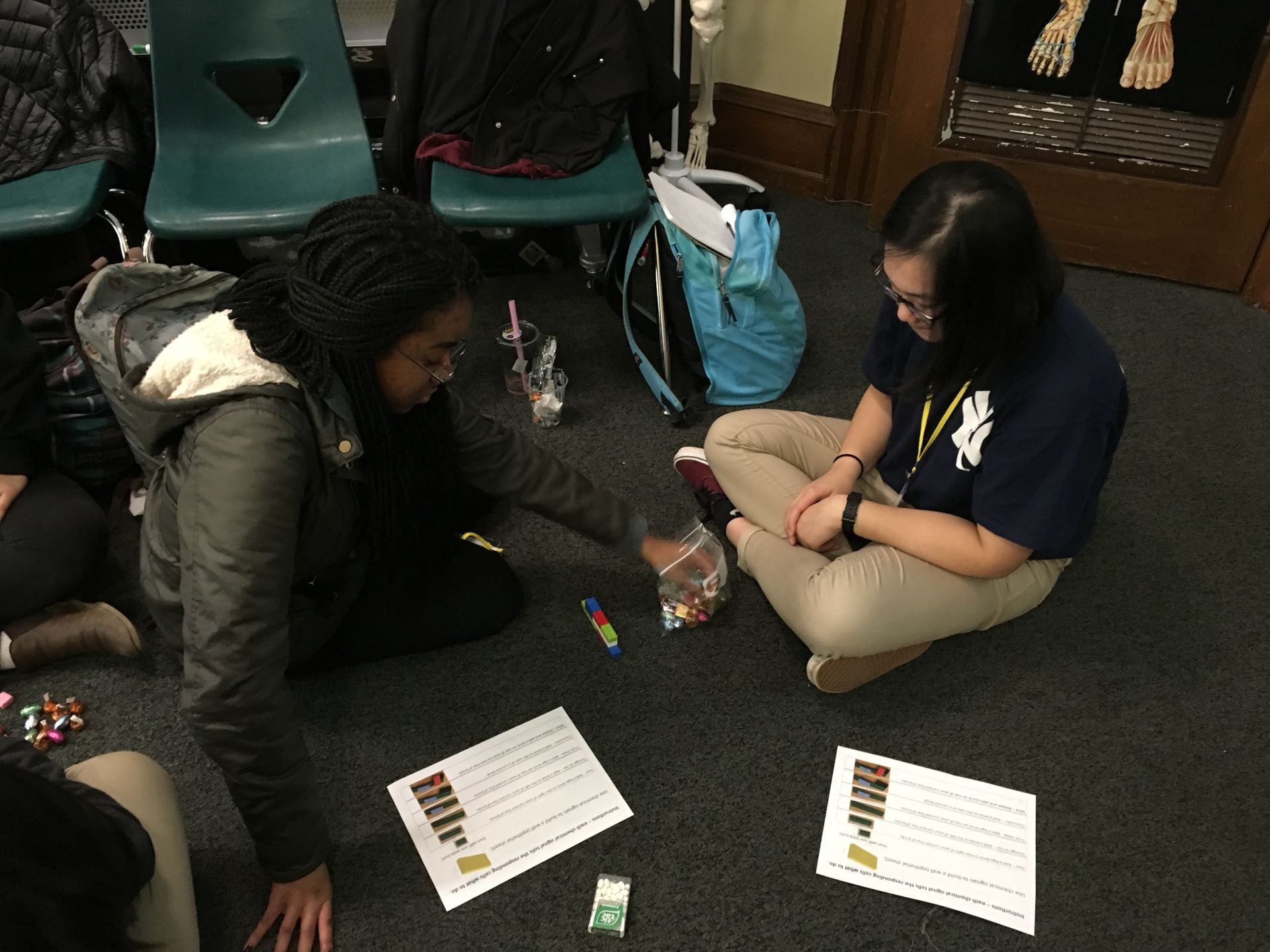 Students in the Karabots Junior Fellows Program take part in an activity about cancer biology by assembling walls made of Legos