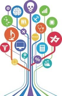 Out4STEM Tree Image Logo