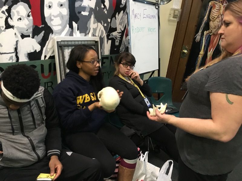 Members of the Karabots Junior Fellows Program investigate the race, sex, and age of bones