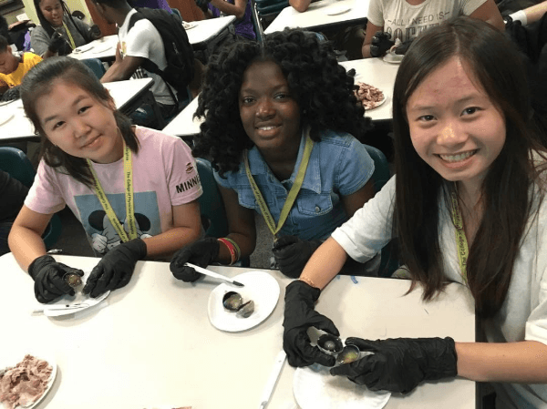 Three students in the Karabots Junior Fellows Program take part in a cow eye dissection.